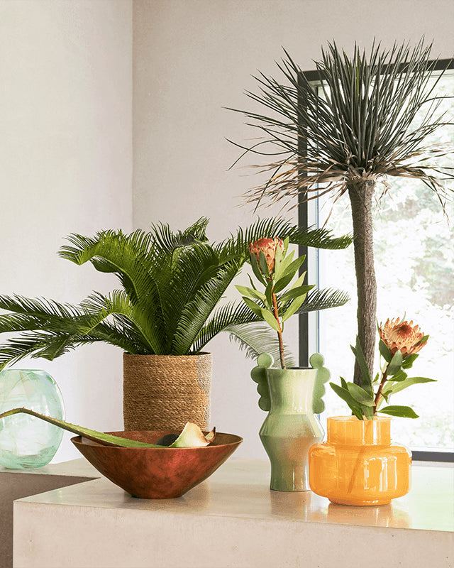 Circolo - vaso in ceramica verde pastello