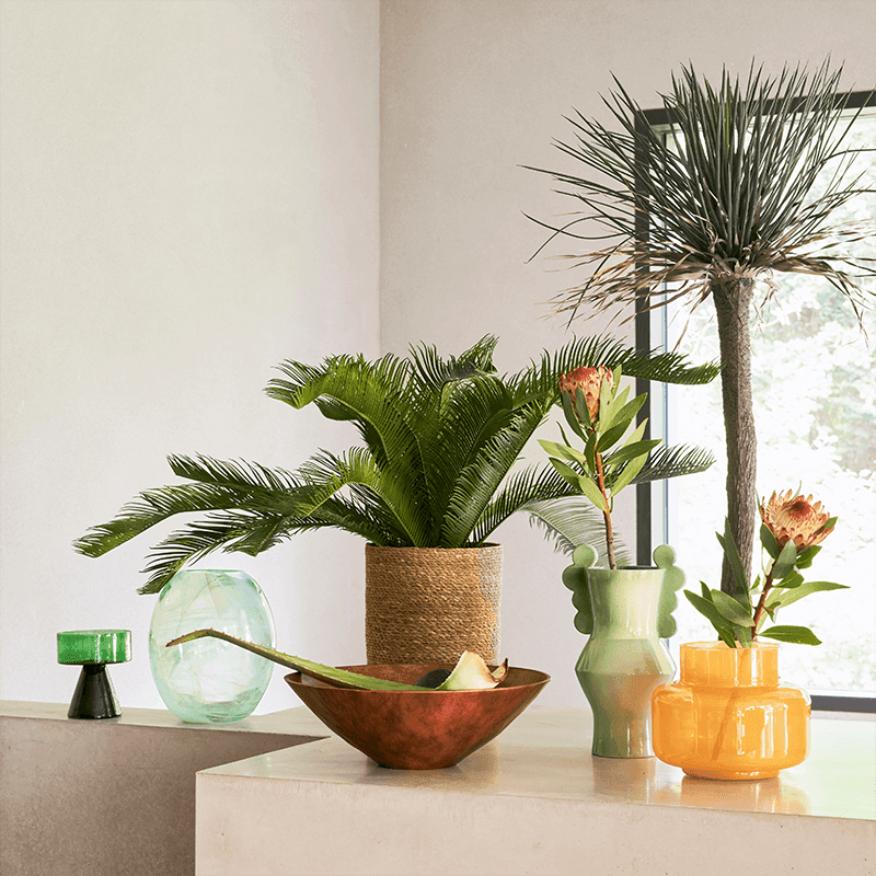 Nostra - Vaso in vetro verde