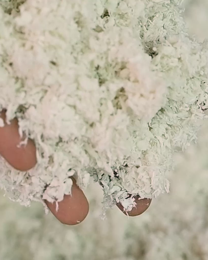 Sandia - Portavaso decorativo in cartapesta di cotone