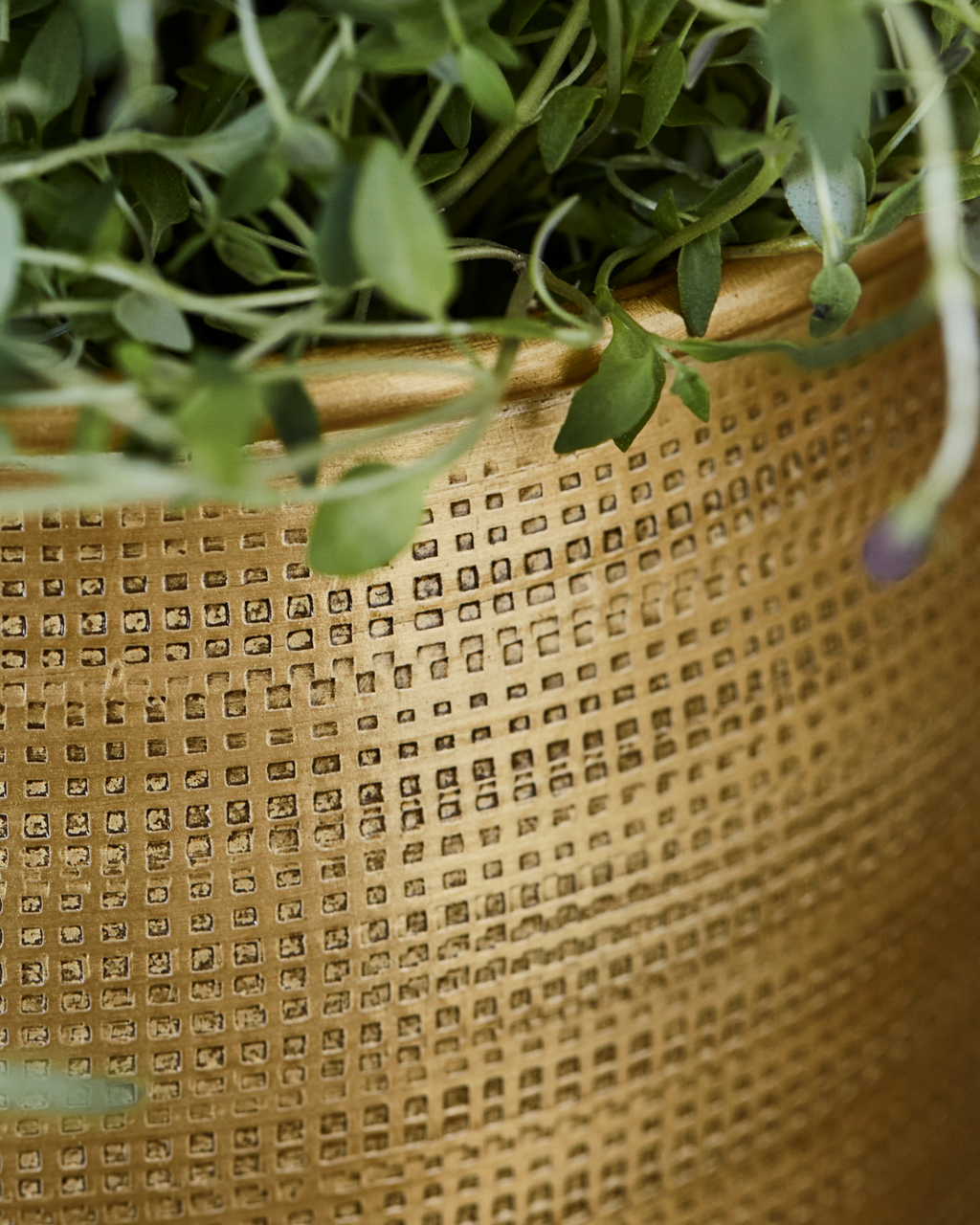 Spot - coppia di portavasi in metallo dorato opaco