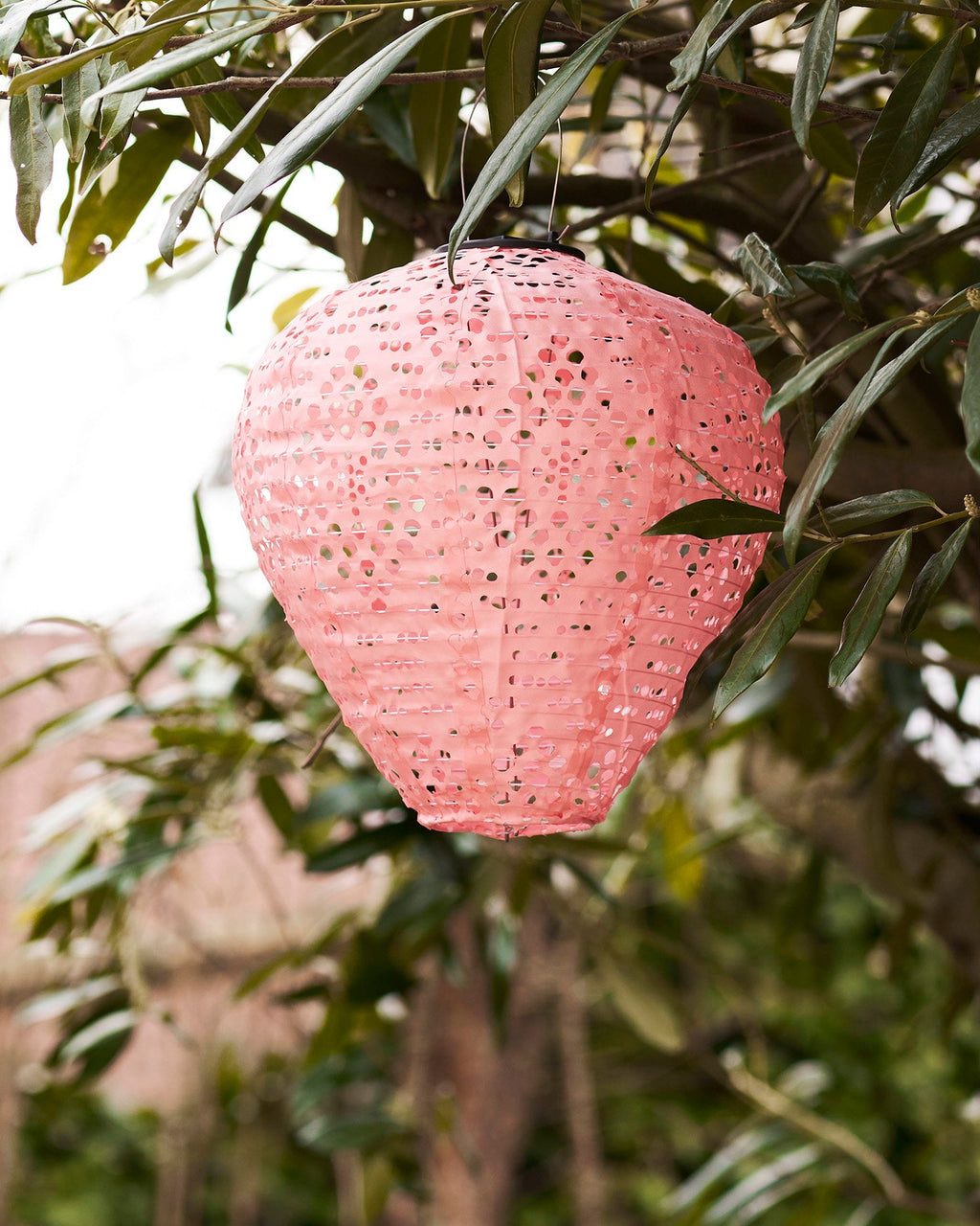 Greatham - Lanterna LED ricaricabile con pannello solare integrato, rosa