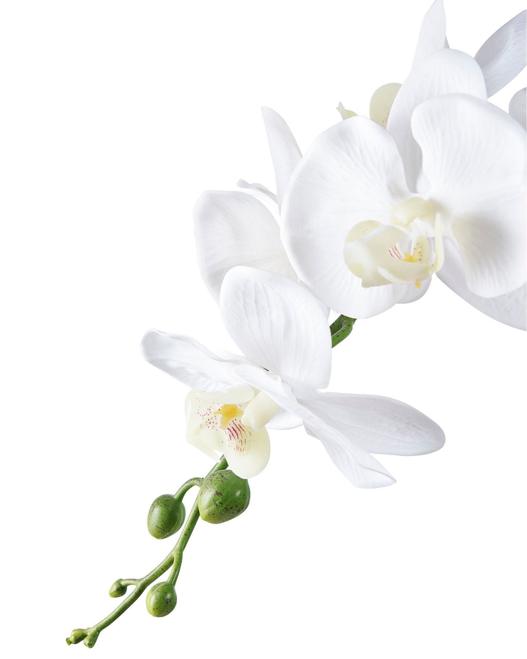 Dea - Orchidea artificiale, 49 cm