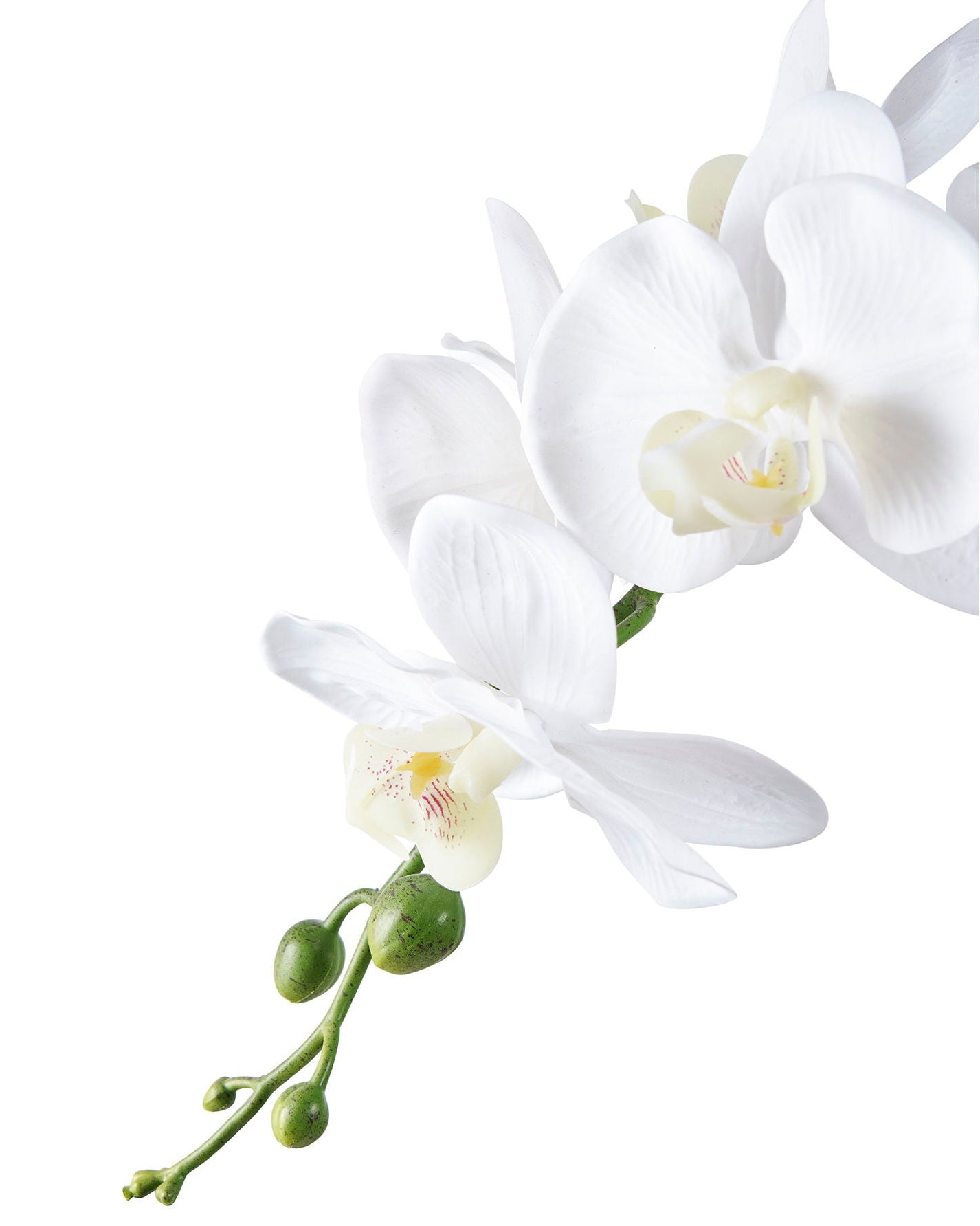 Dea - Orchidea artificiale, 49 cm