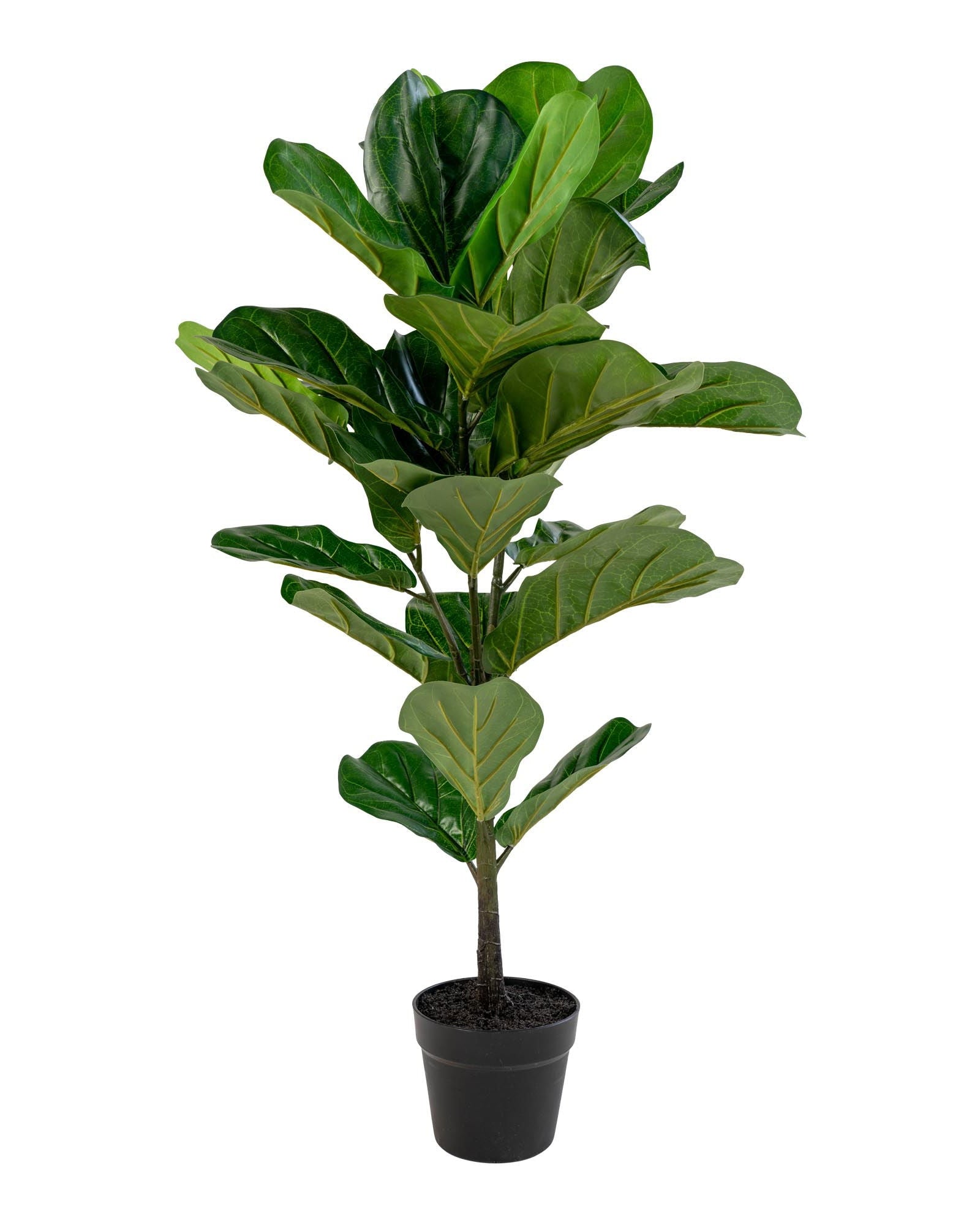 Lyr - Pianta di Ficus lyrata artificiale, 100 cm