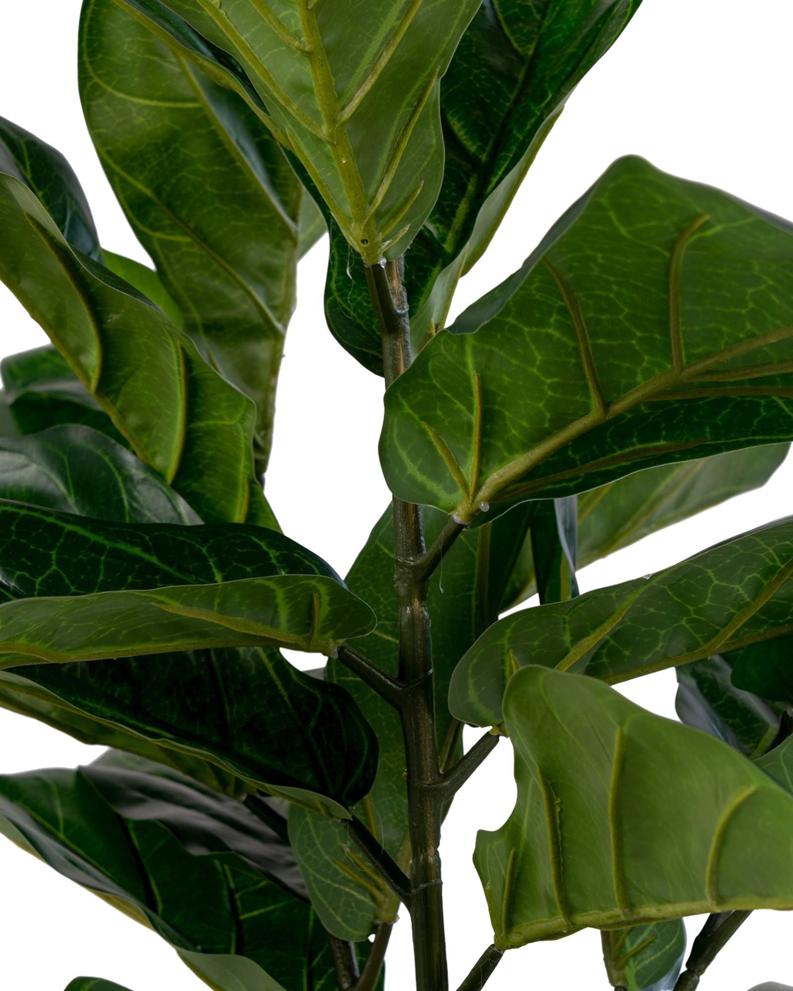 Lyr - Pianta di Ficus lyrata artificiale, 100 cm