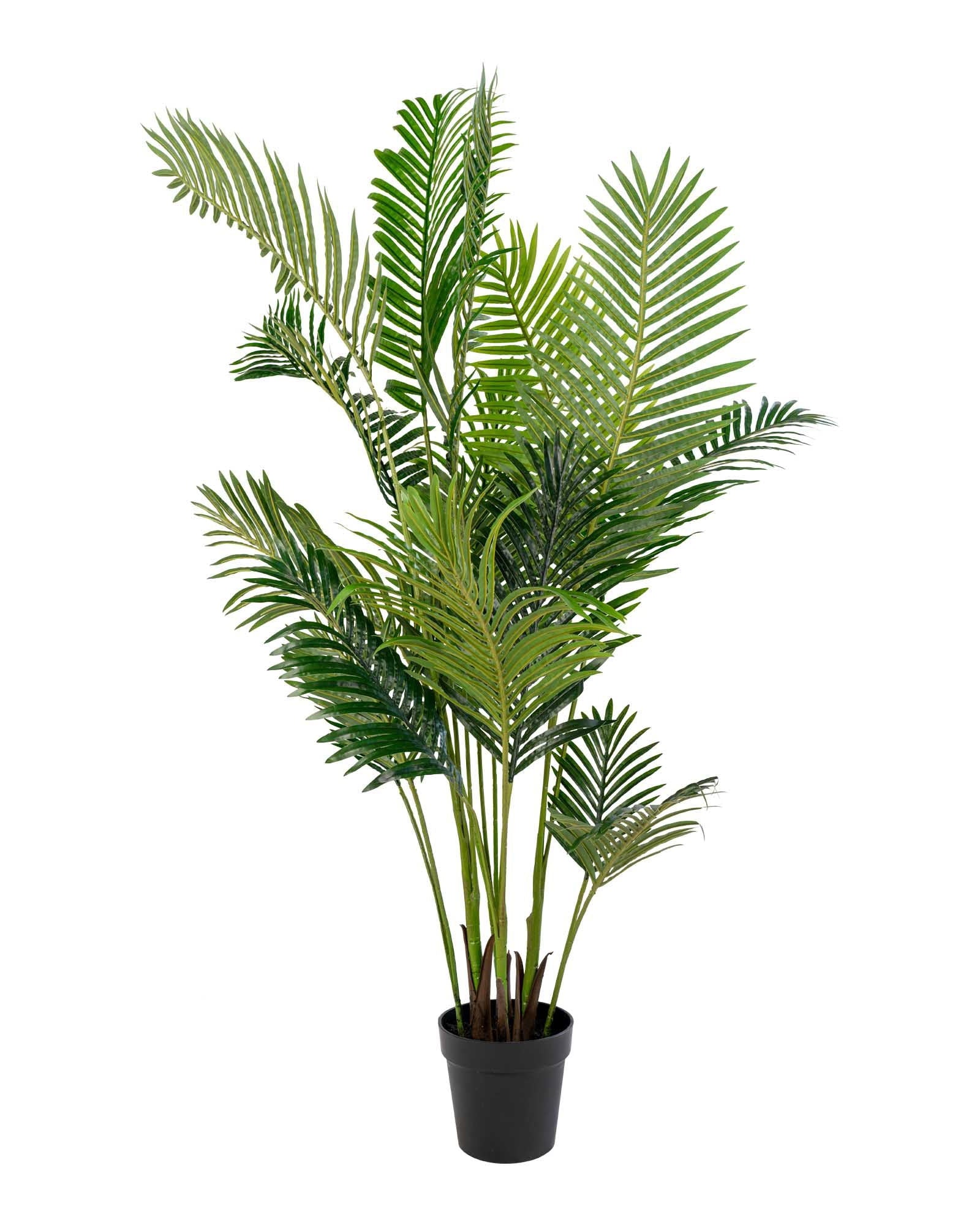 Palma di Areca - pianta artificiale, 175 cm