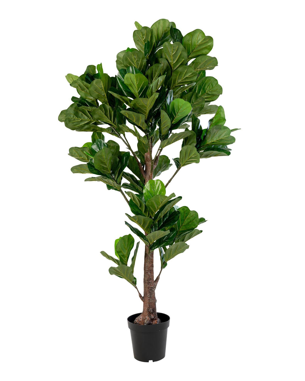 Lyr - Pianta di Ficus lyrata artificiale, 190 cm