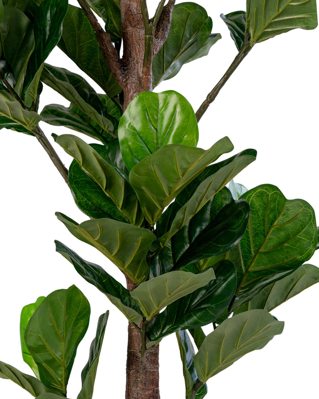 Lyr - Pianta di Ficus lyrata artificiale, 190 cm