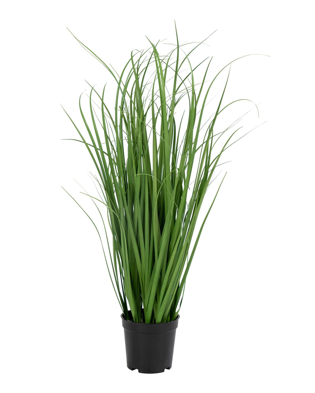 Pampa -Erba Poa artificiale, 68 cm