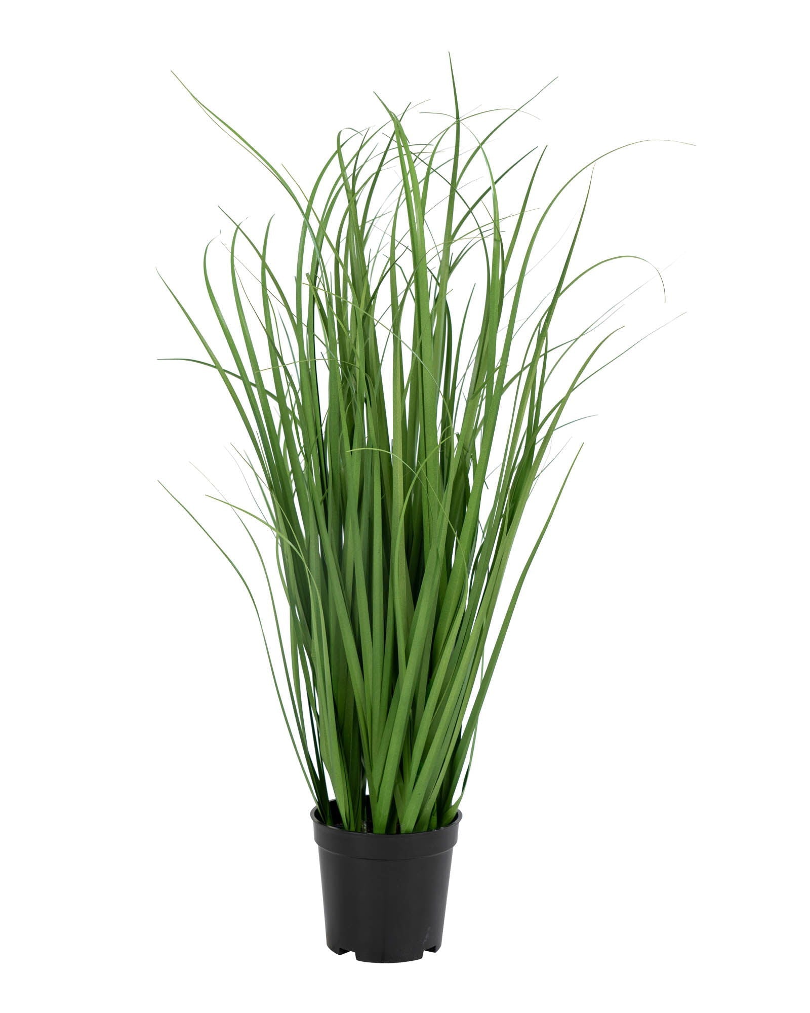 Pampa -Erba Poa artificiale, 68 cm