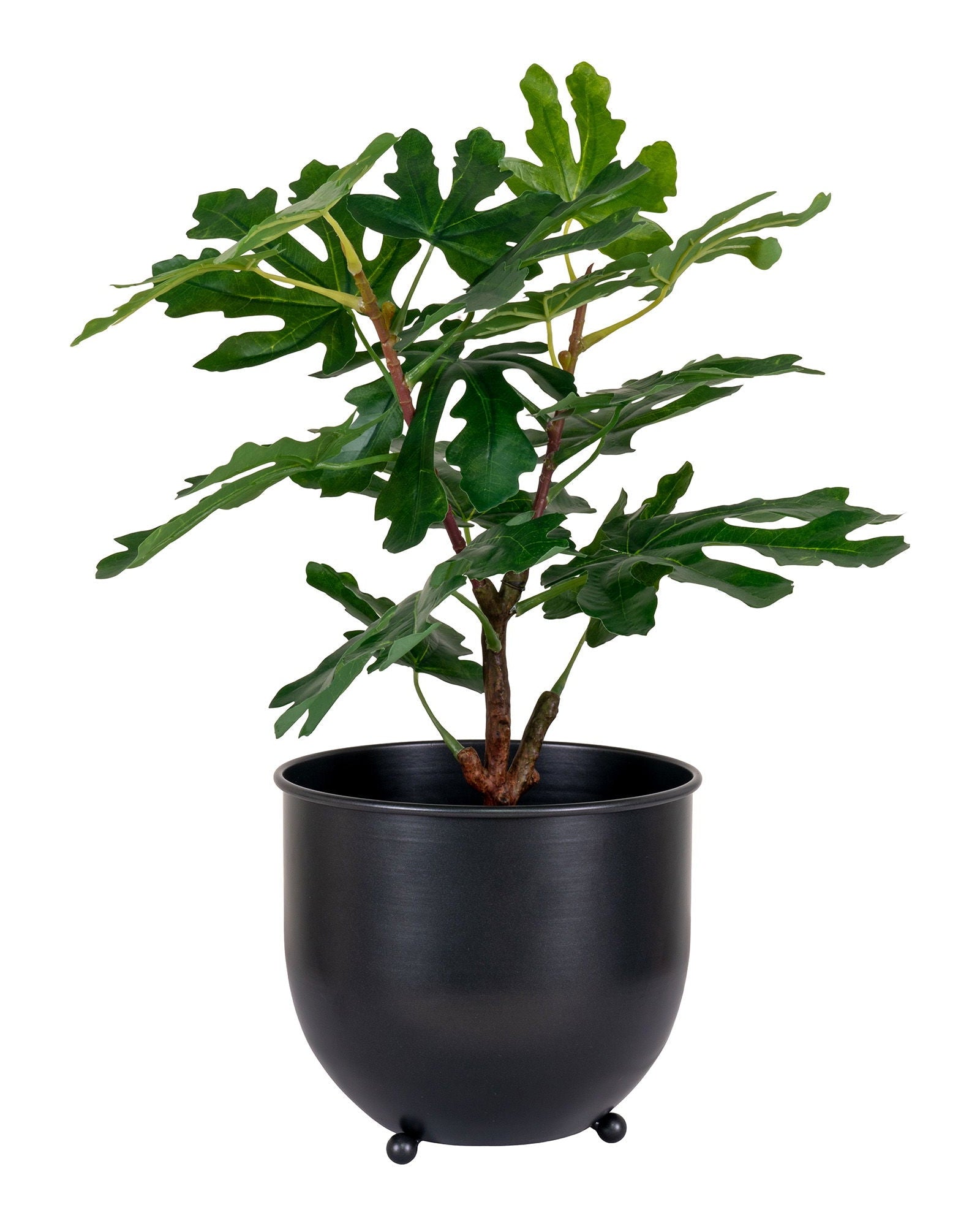 Fico - pianta artificiale, 60 cm