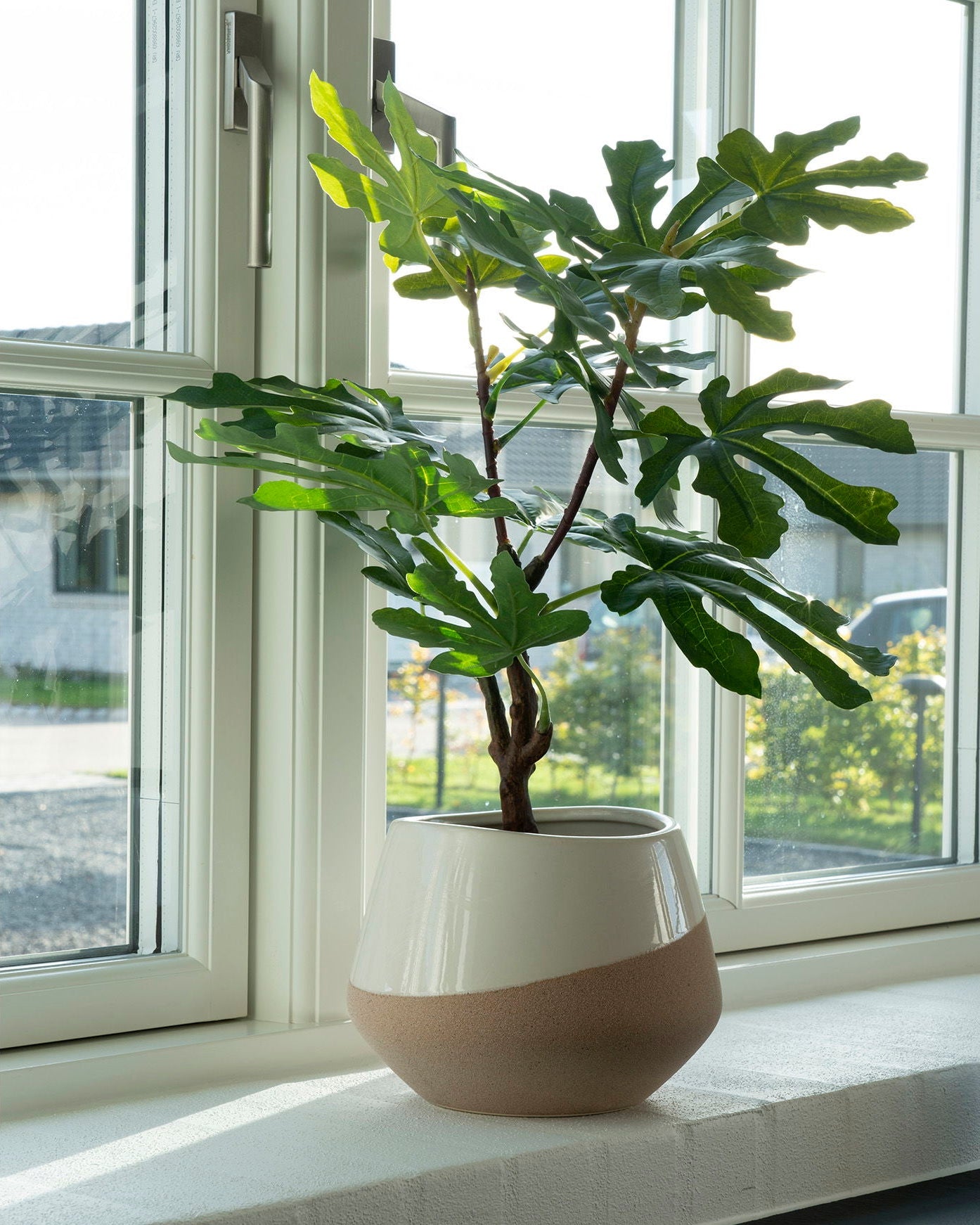 Fico - pianta artificiale, 60 cm