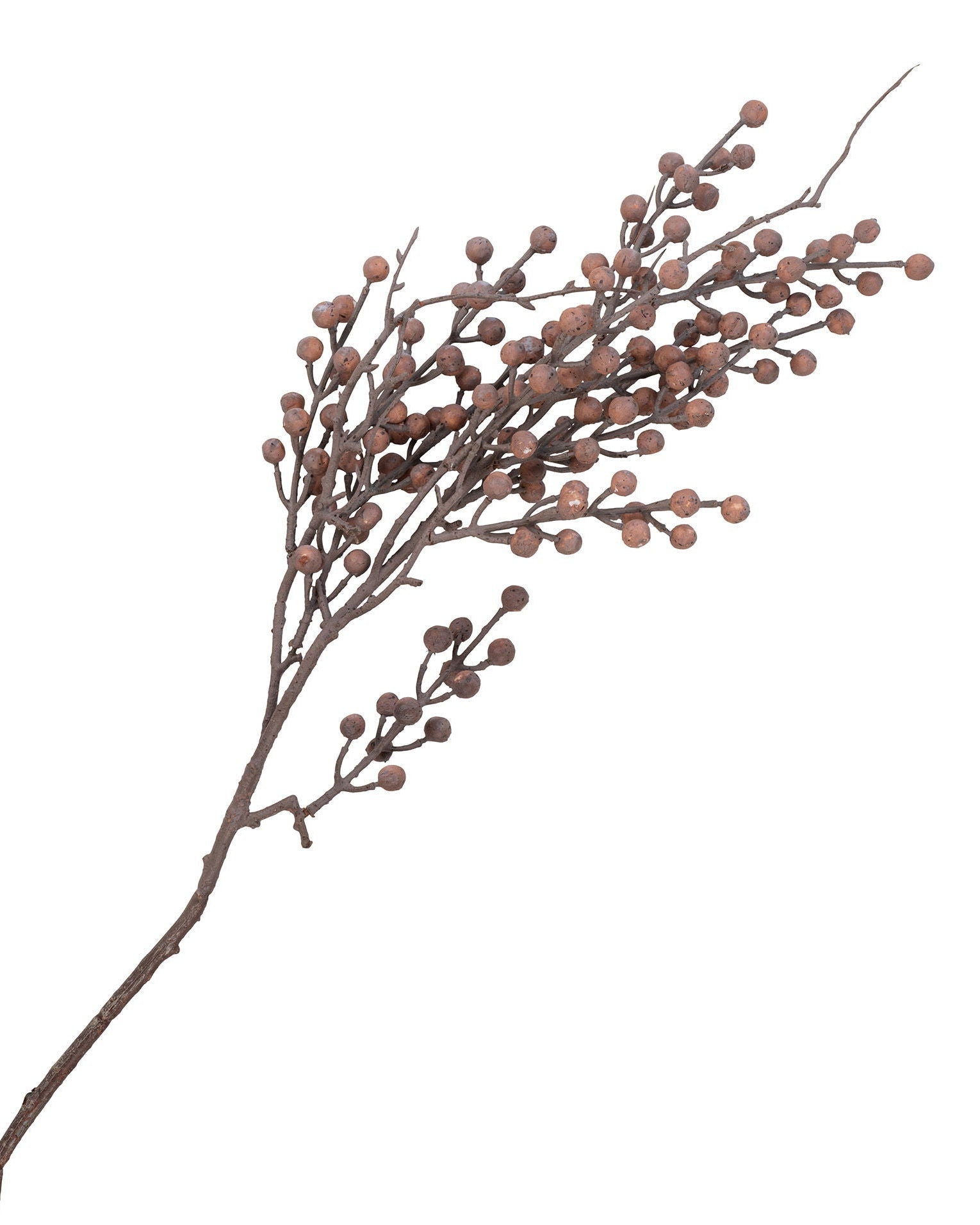 Rea - Bouquet Protea Reale, 74 cm