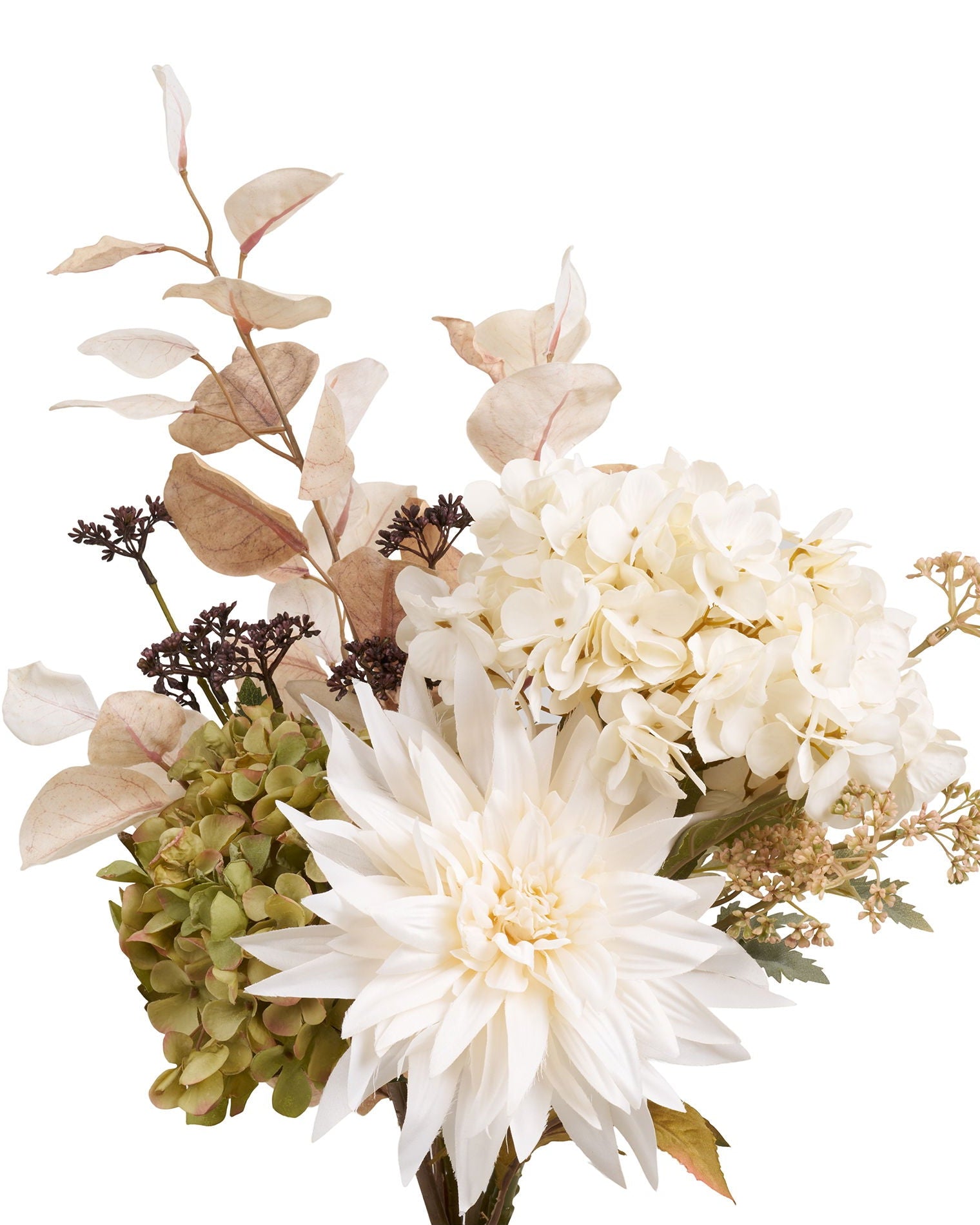 Sia - Bouquet di ortensie