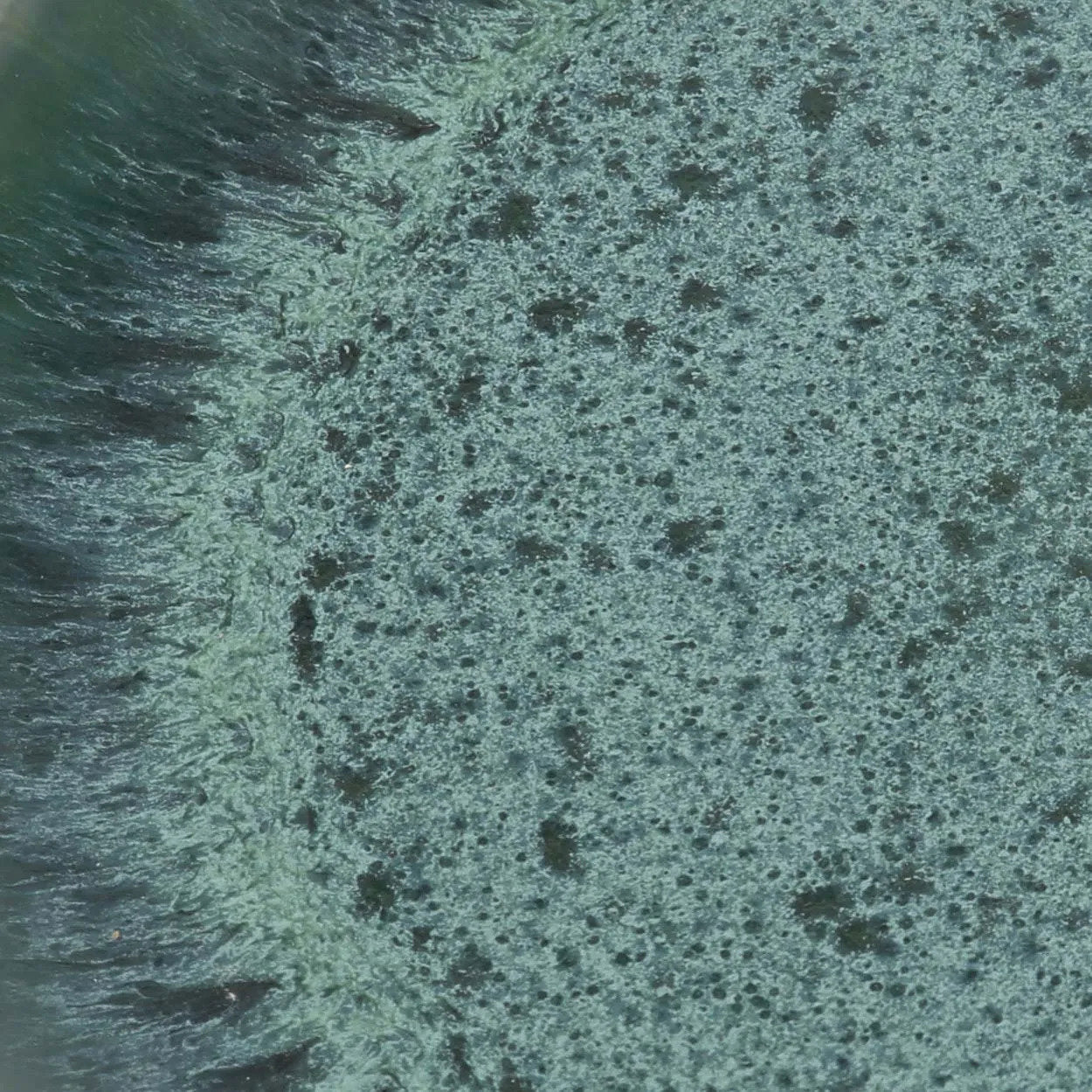 The Aqua - Piatto piano in ceramica portoghese acquamarina