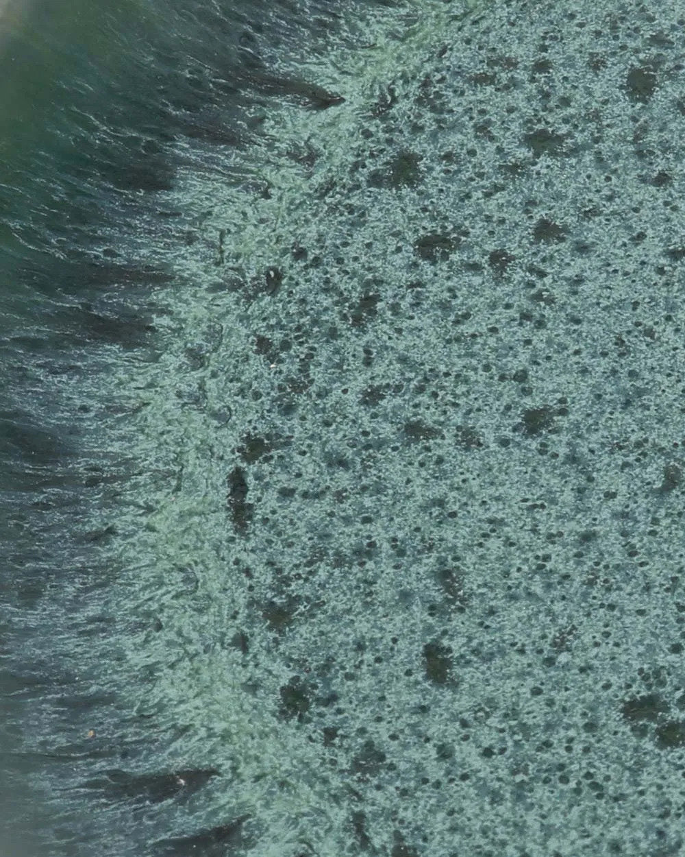 The Aqua - Piatto da dolce in ceramica portoghese aquamarina