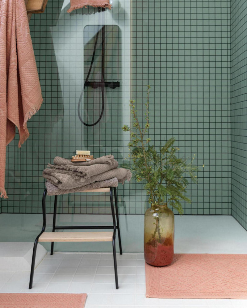 Asciugamano ospite Zoe Camoscio 30 X 50