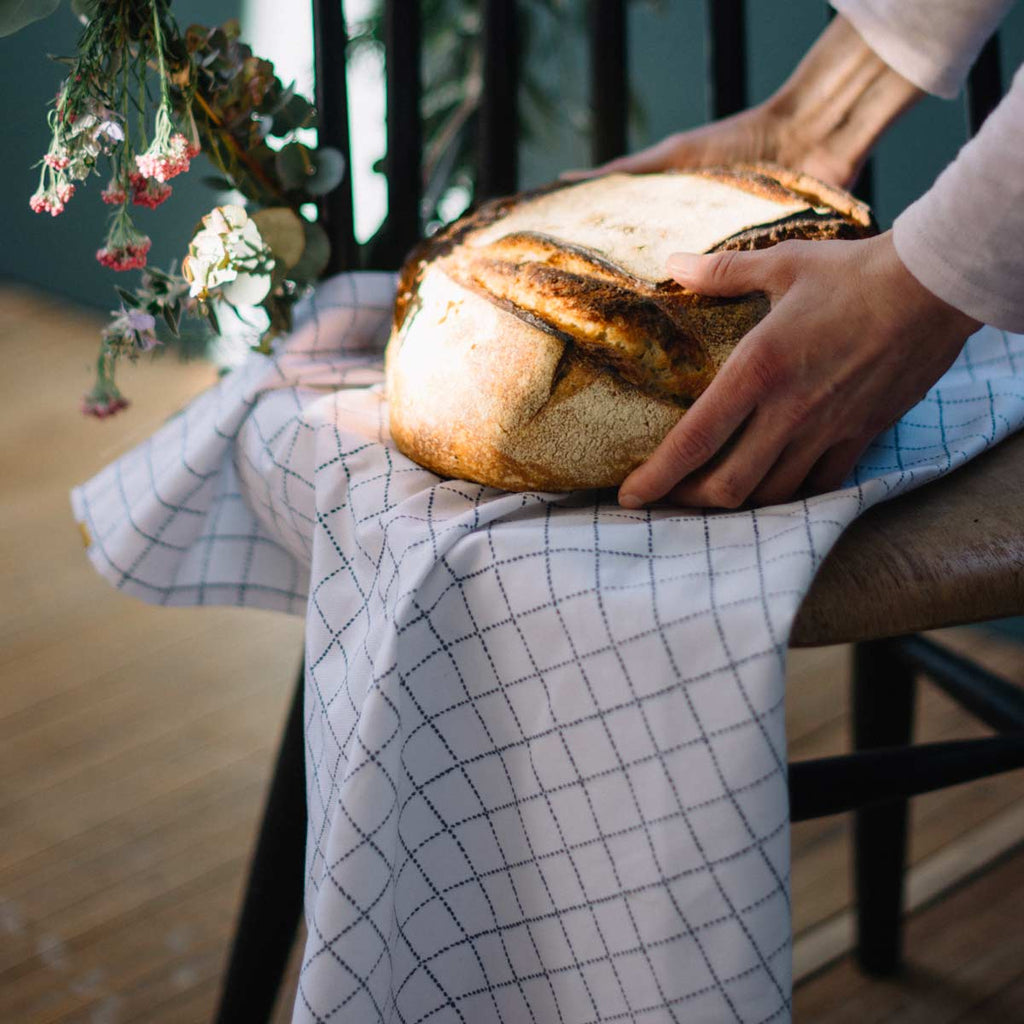 Canovaccio a quadretti blu su fondo bianco