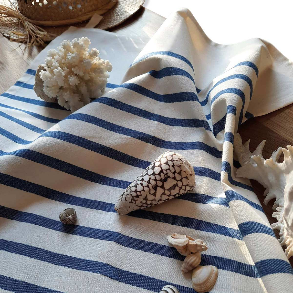 Canovaccio a righe blu e bianche