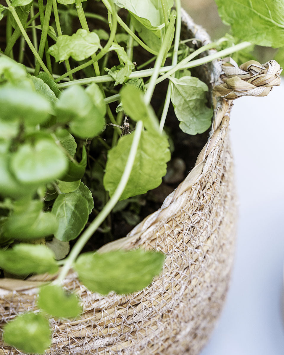 Cesto in fibra naturale