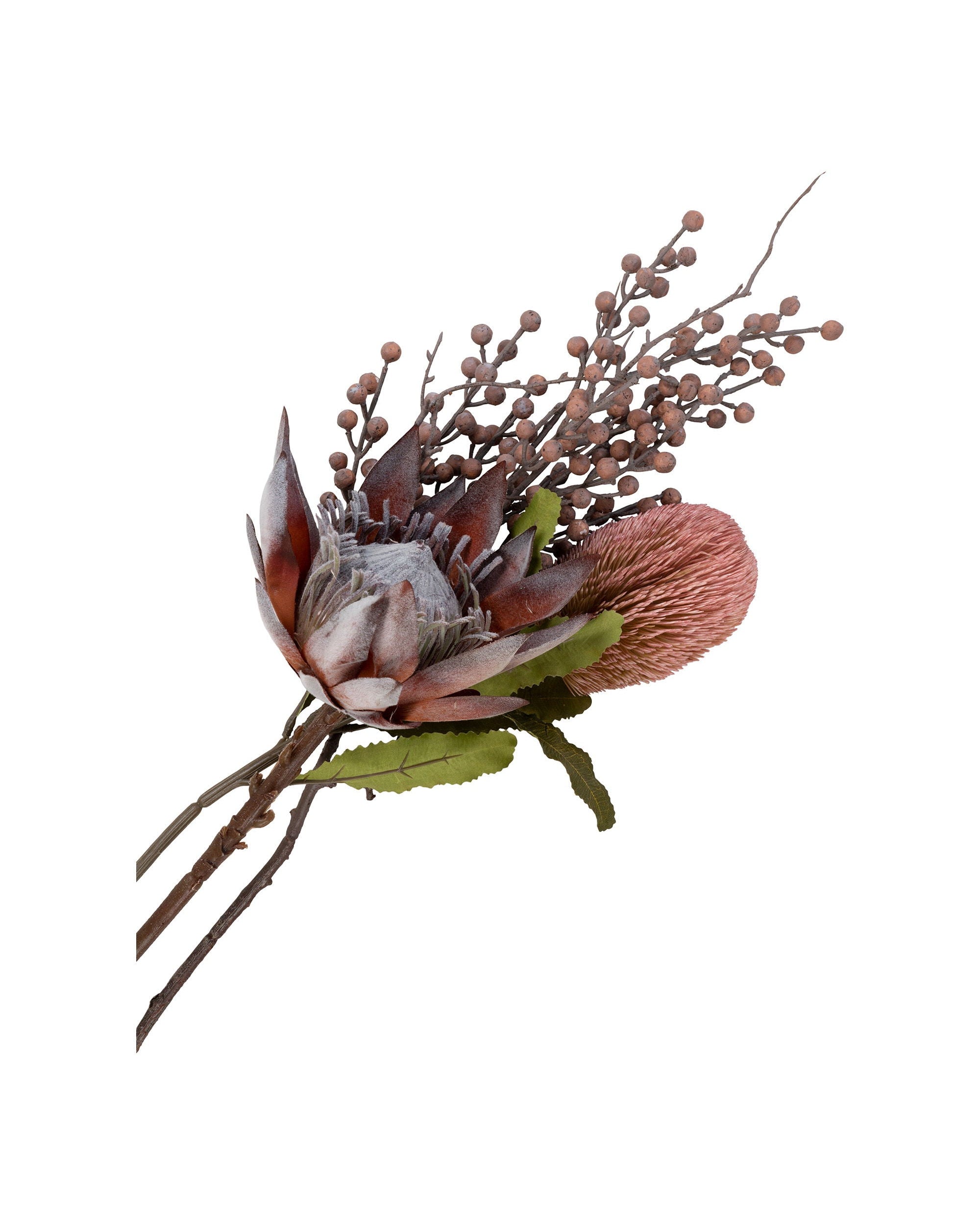 Rea - Bouquet Protea Reale, 74 cm