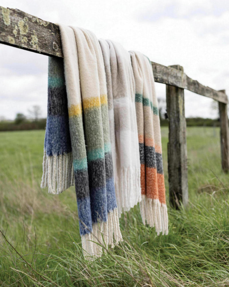 Lancio Isabel Chataigne 130 X 160