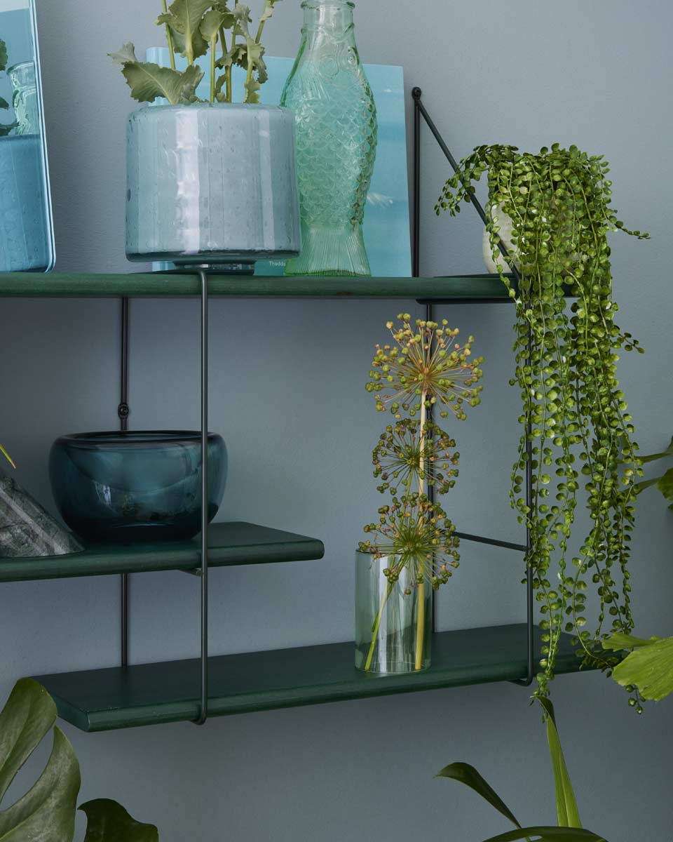 Libreria verde scuro