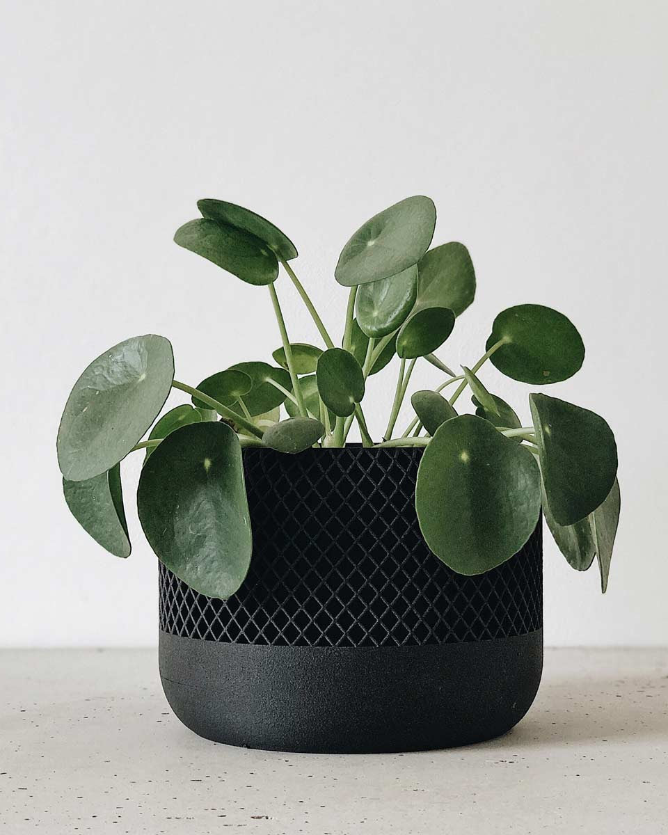 portavaso moderno nero