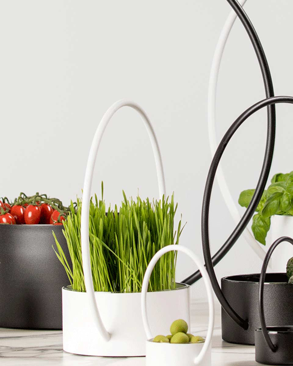 Portavasi decorativi dal design moderno ed essenziale