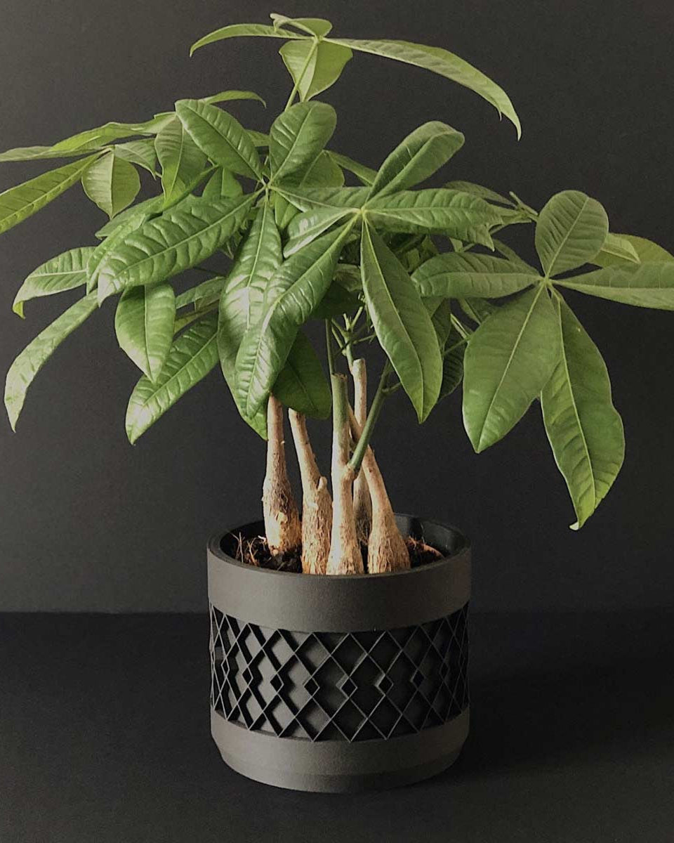 Portavasi di design ecologici