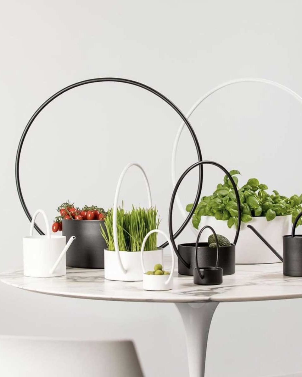 Scopri la collezione di portavasi moderni di XLBoom