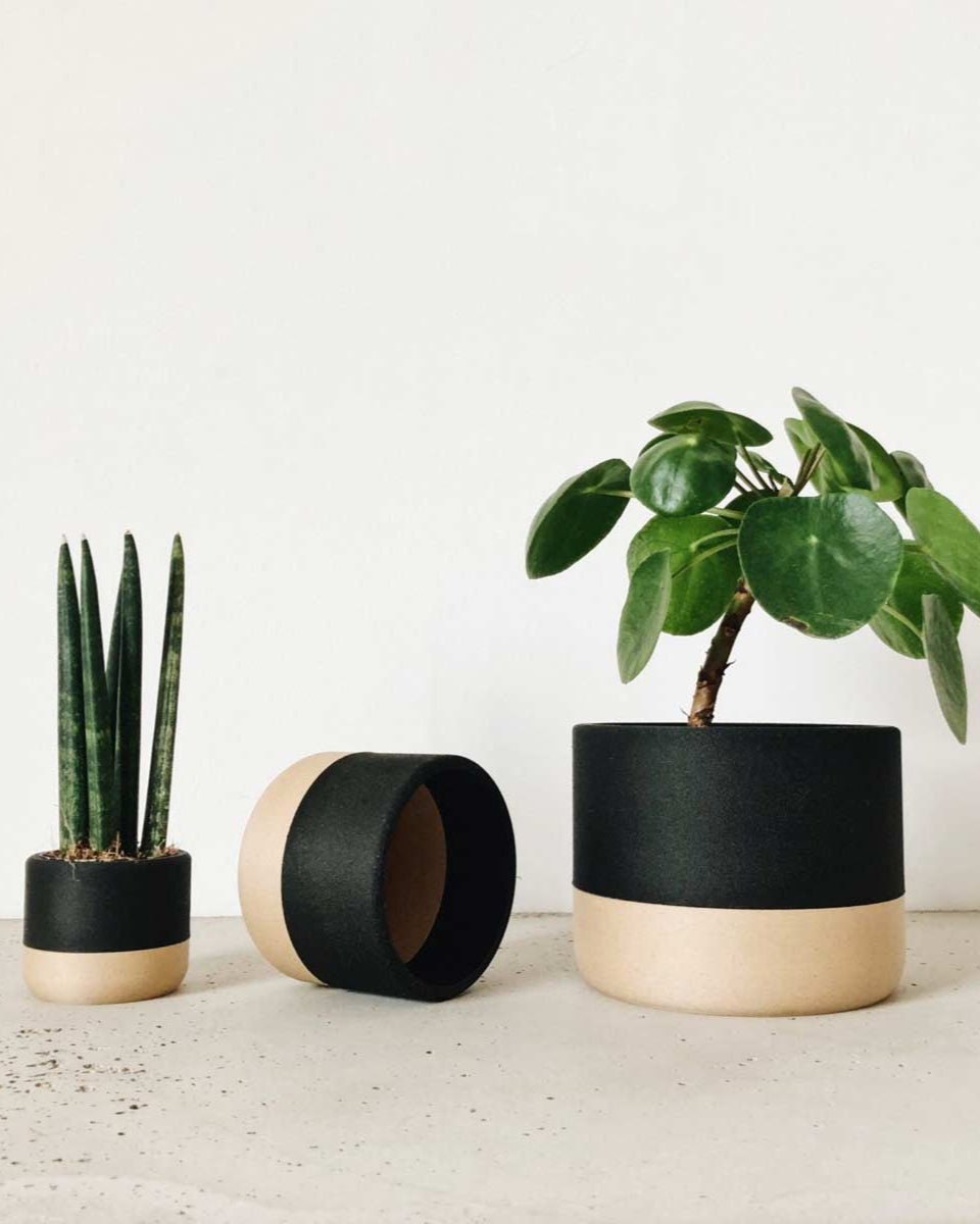 Portavasi stile giapponese