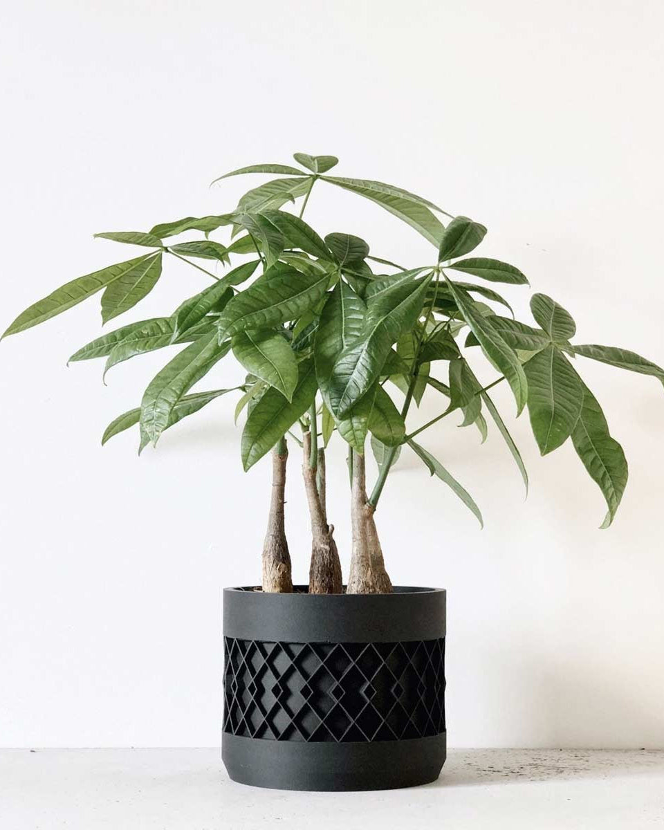 Portavaso decorativo nero - Minimum Design