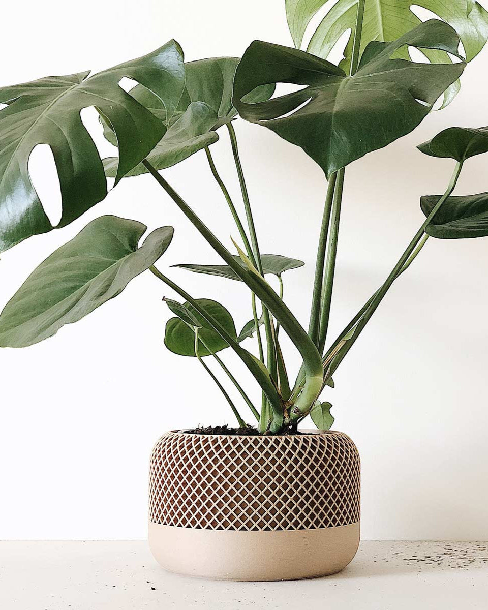 Originale e insolito design per il portavasi di Minimum design