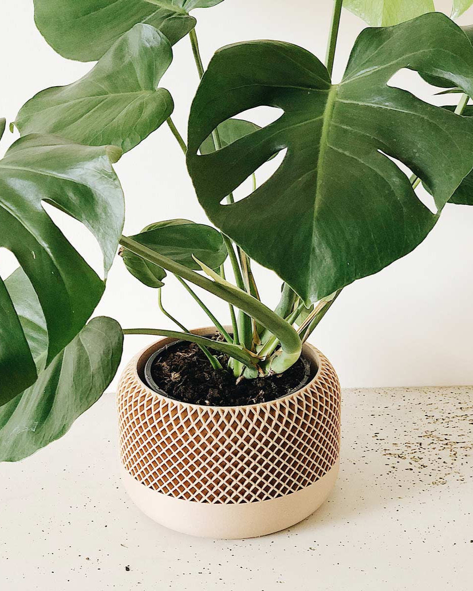 Ecco il portavasi di design Ecosostenibile 