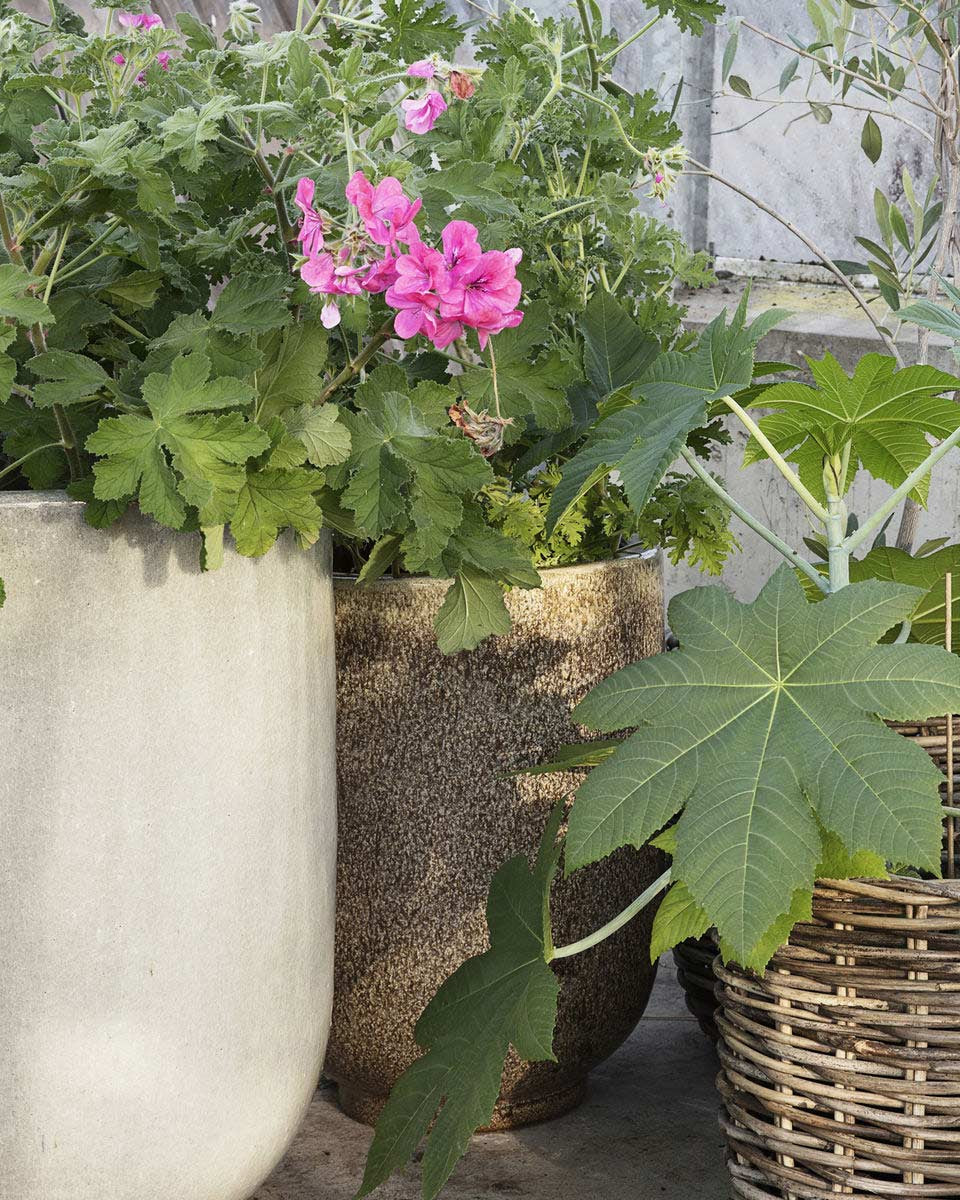 Portavaso marrone chiaro