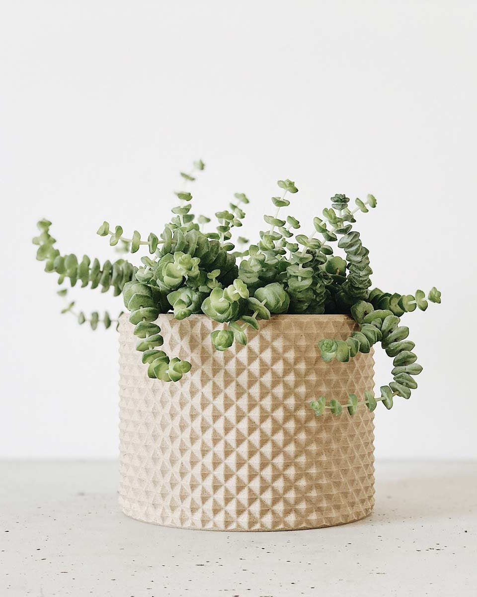 Portavaso moderno realizzato in fibra di legno naturale biodegradabile