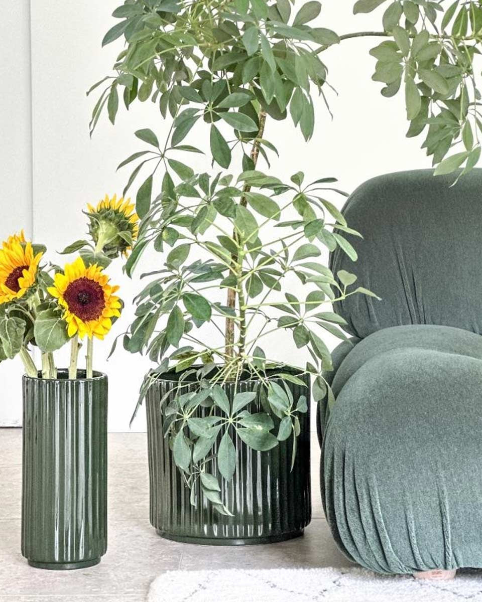 Portavaso moderno verde