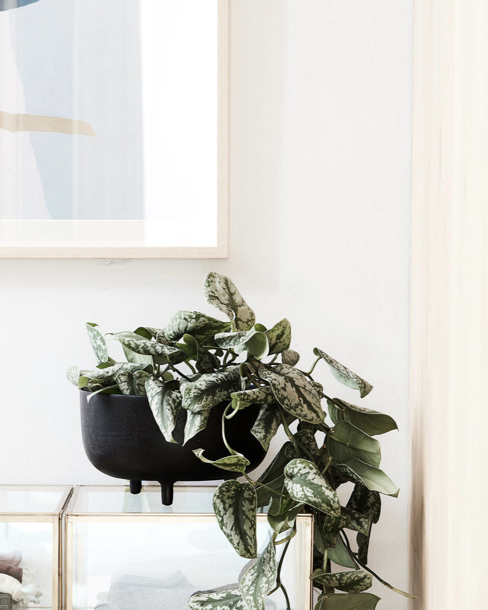 Portavaso nero in metallo