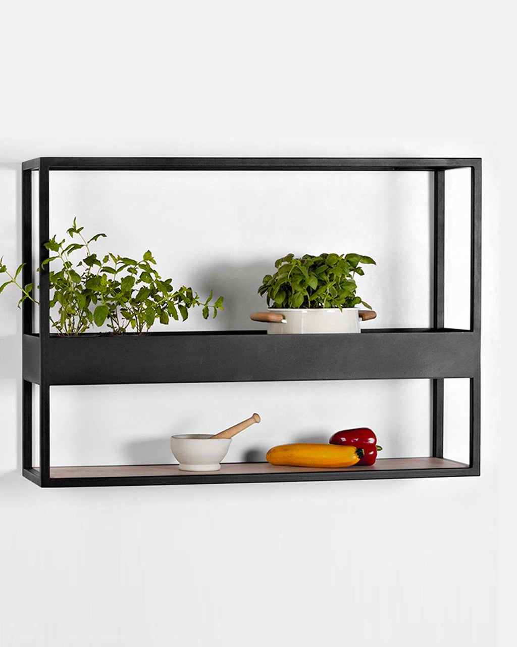 Herbarium - scaffale in metallo e legno