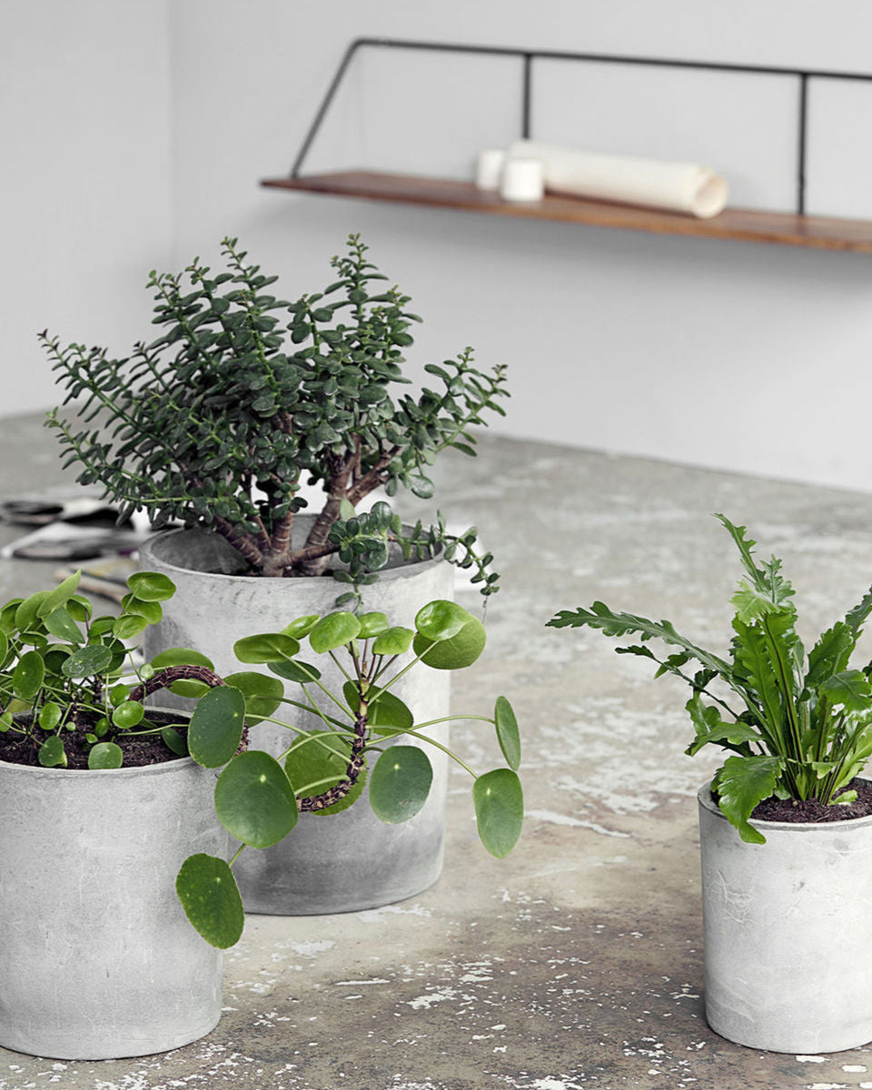 Set di vasi in cemento