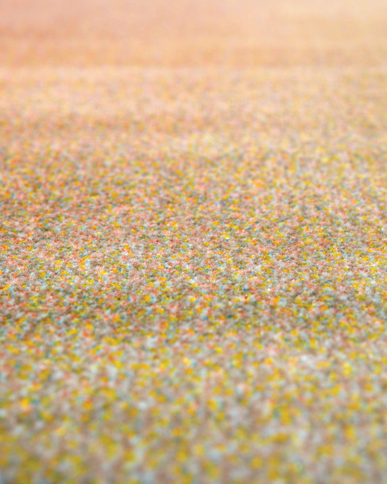 Tappeto Caro Multicolore 200 X 290