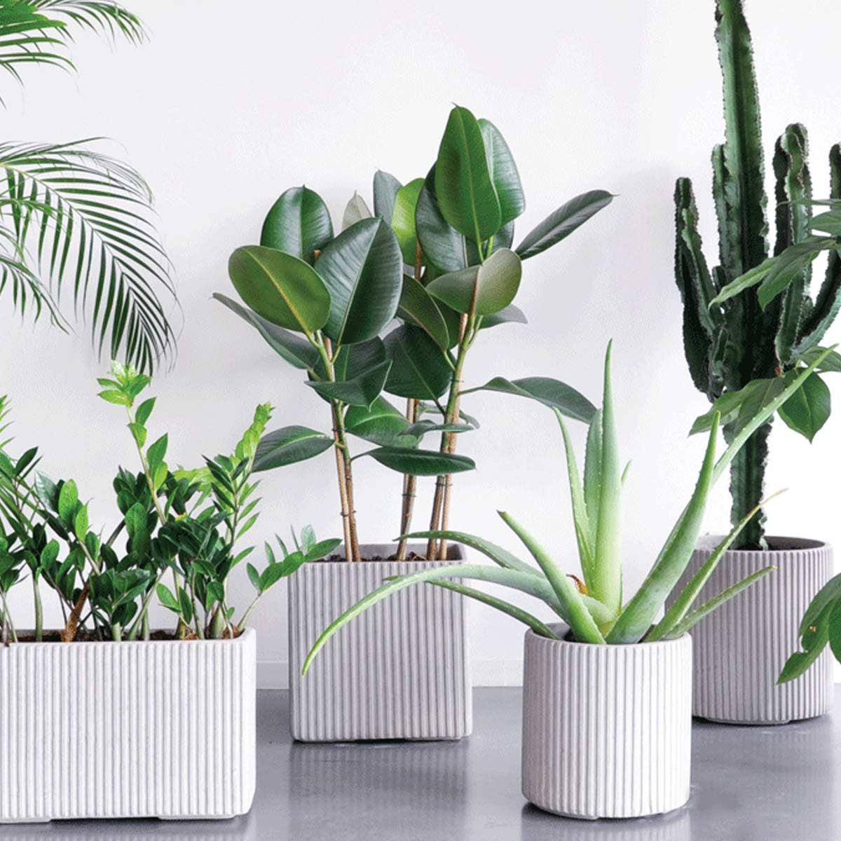 Vasi di cemento di design, moderni ed essenziali.