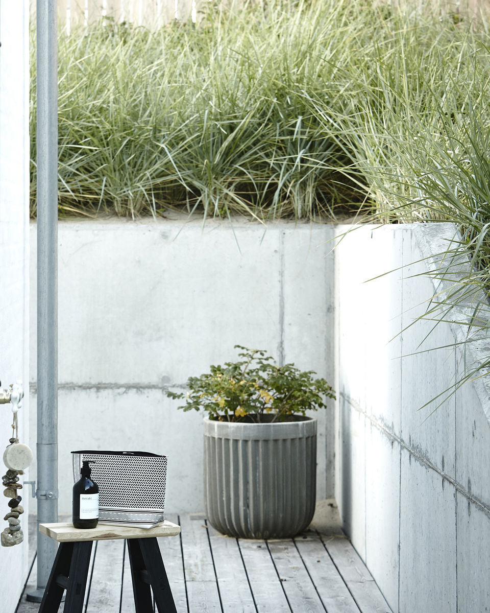 Vasi di cemento per piante