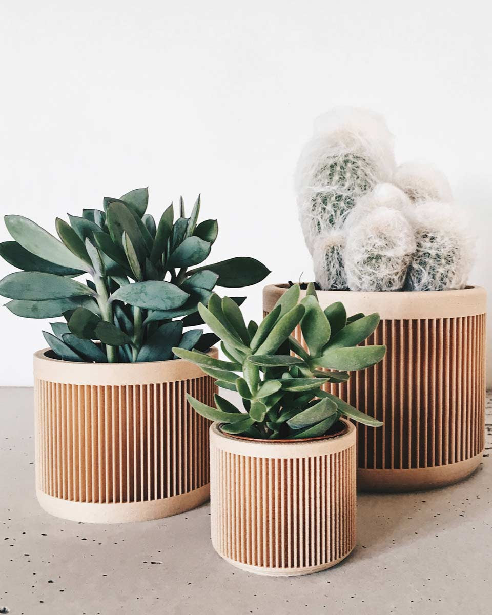 Vasi per piante grasse