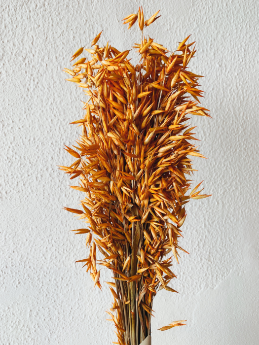 Flores-  mazzo di spighe di avena arancioni